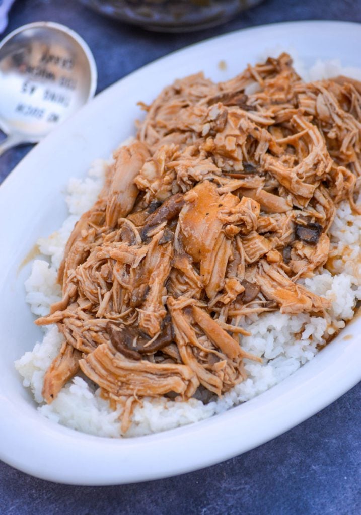 Crockpot Chicken & Gravy - Plain Chicken