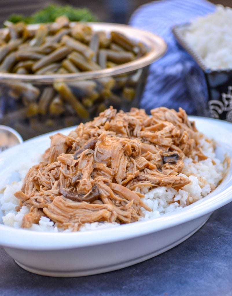 Crockpot Chicken & Gravy - Plain Chicken