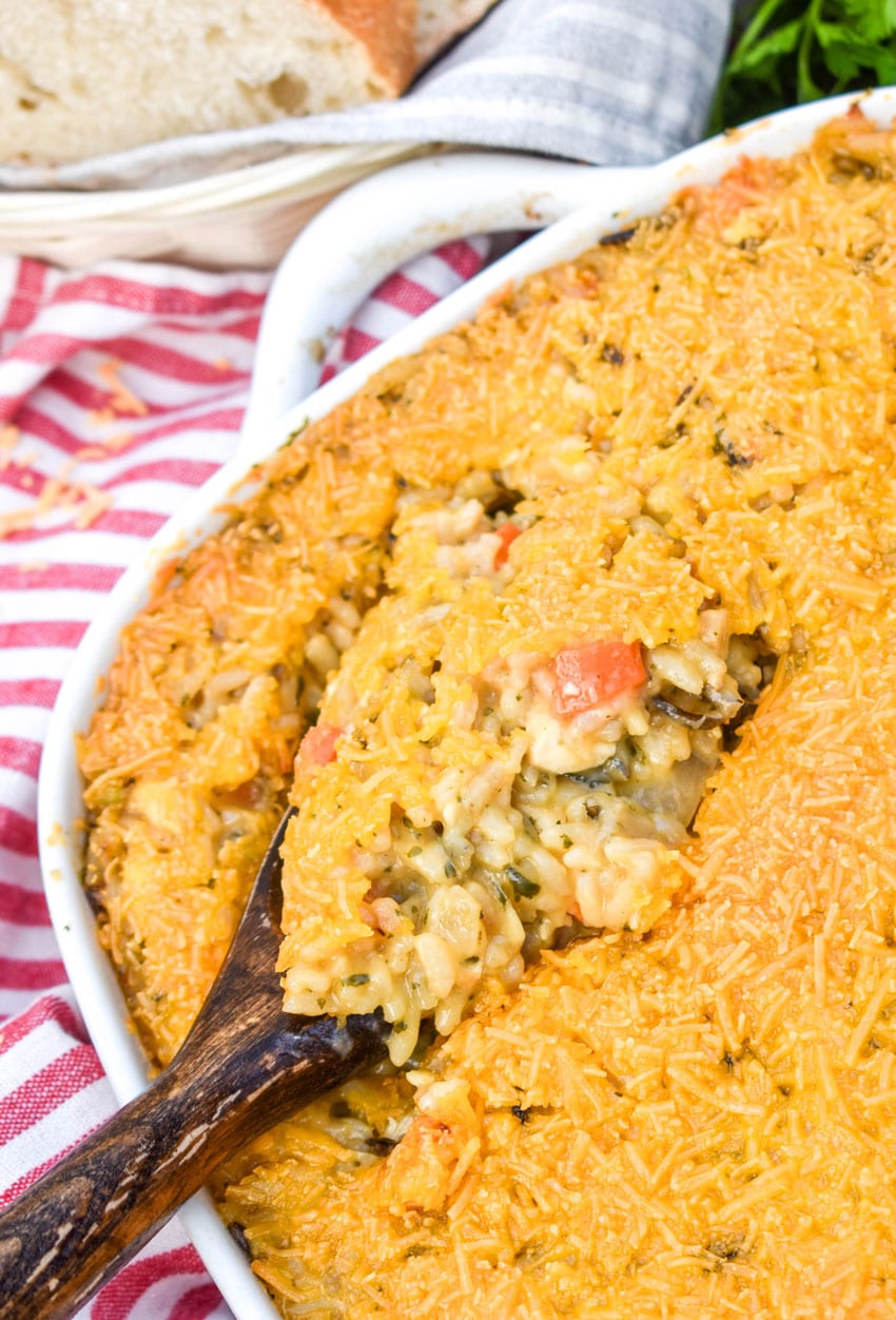 a wooden spoon scooping cheesy chicken and wild rice casserole out of a white baking dish