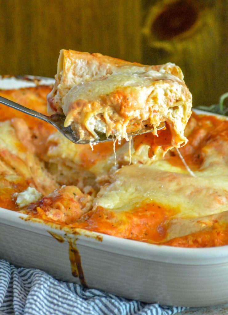 Lasagna Rosa Recipe - 4 Sons 'R' Us