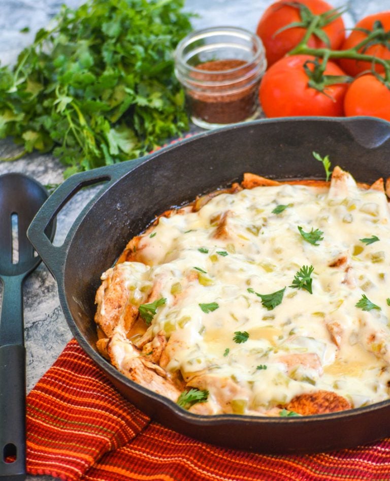 Pollo Fundido Recipe 4 Sons 'R' Us