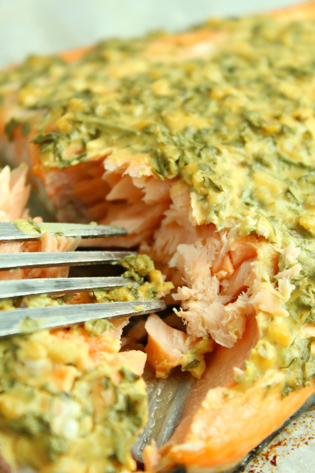Dijon Mustard Salmon - 4 Sons 'R' Us