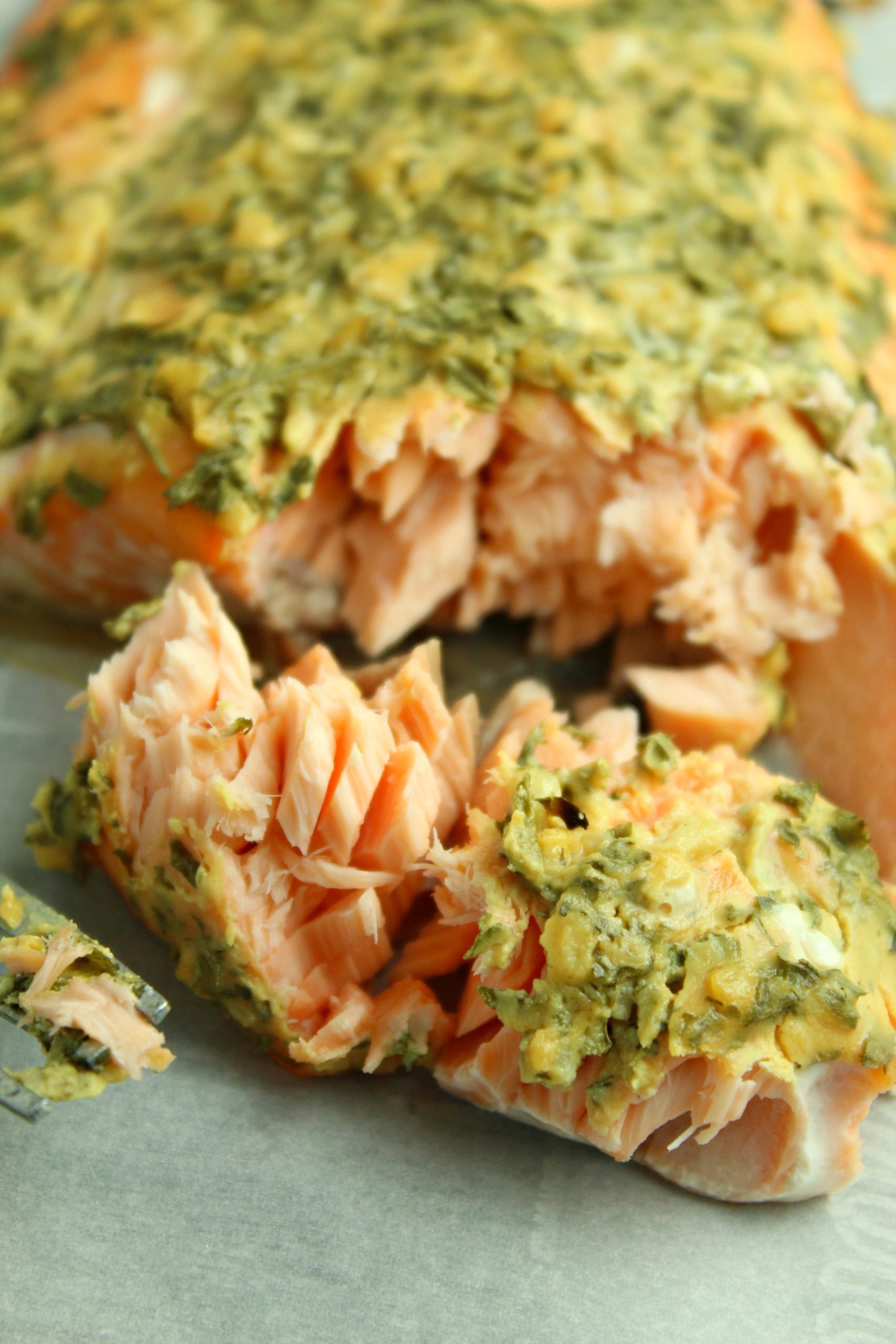 Dijon Mustard Salmon Recipe 4 Sons 'R' Us