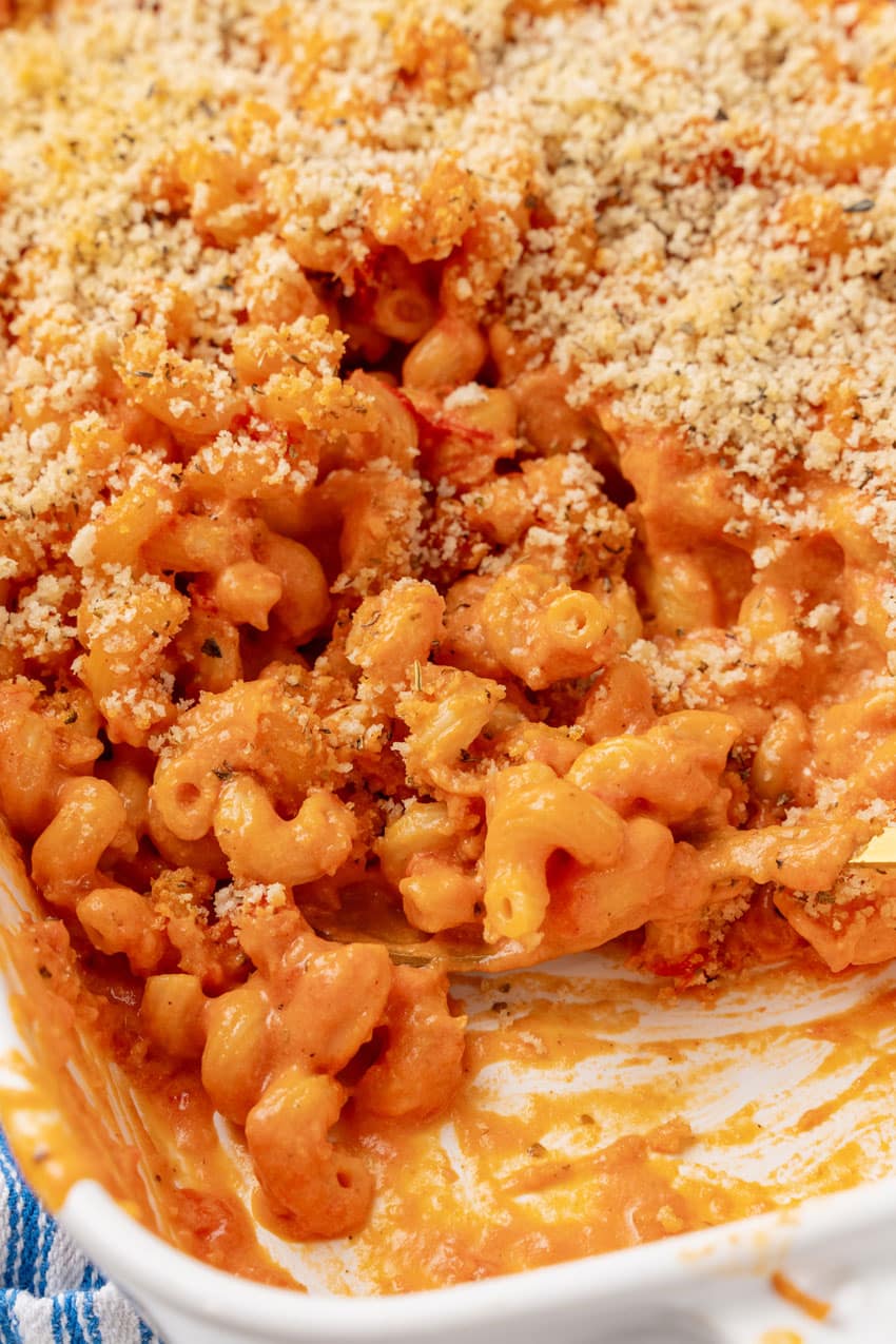 creamy tomato soup macaroni and cheese in a white baking dish