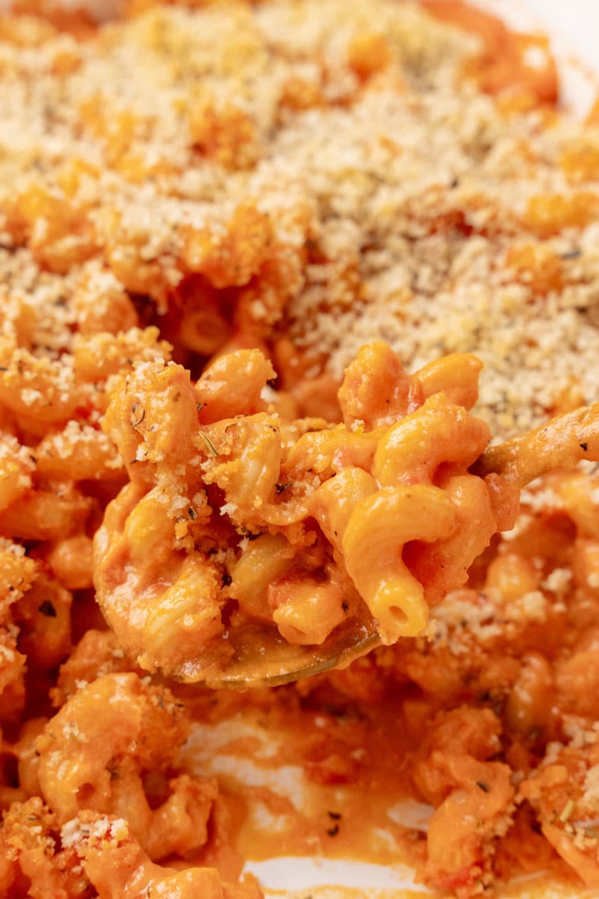 a spoon scooping creamy tomato soup mac and cheese out of a baking dish