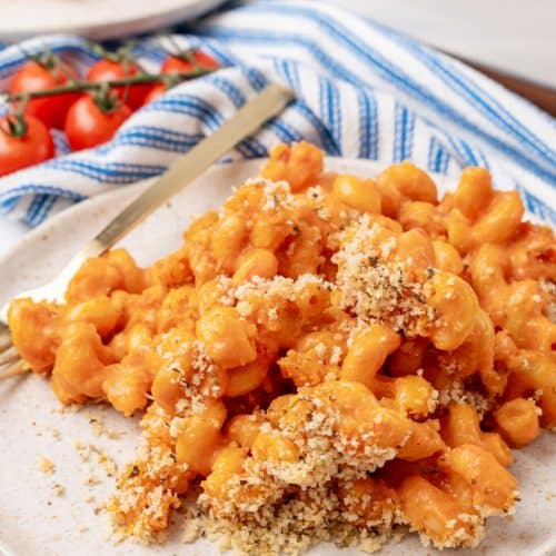 creamy tomato soup macaroni and cheese on a white plate