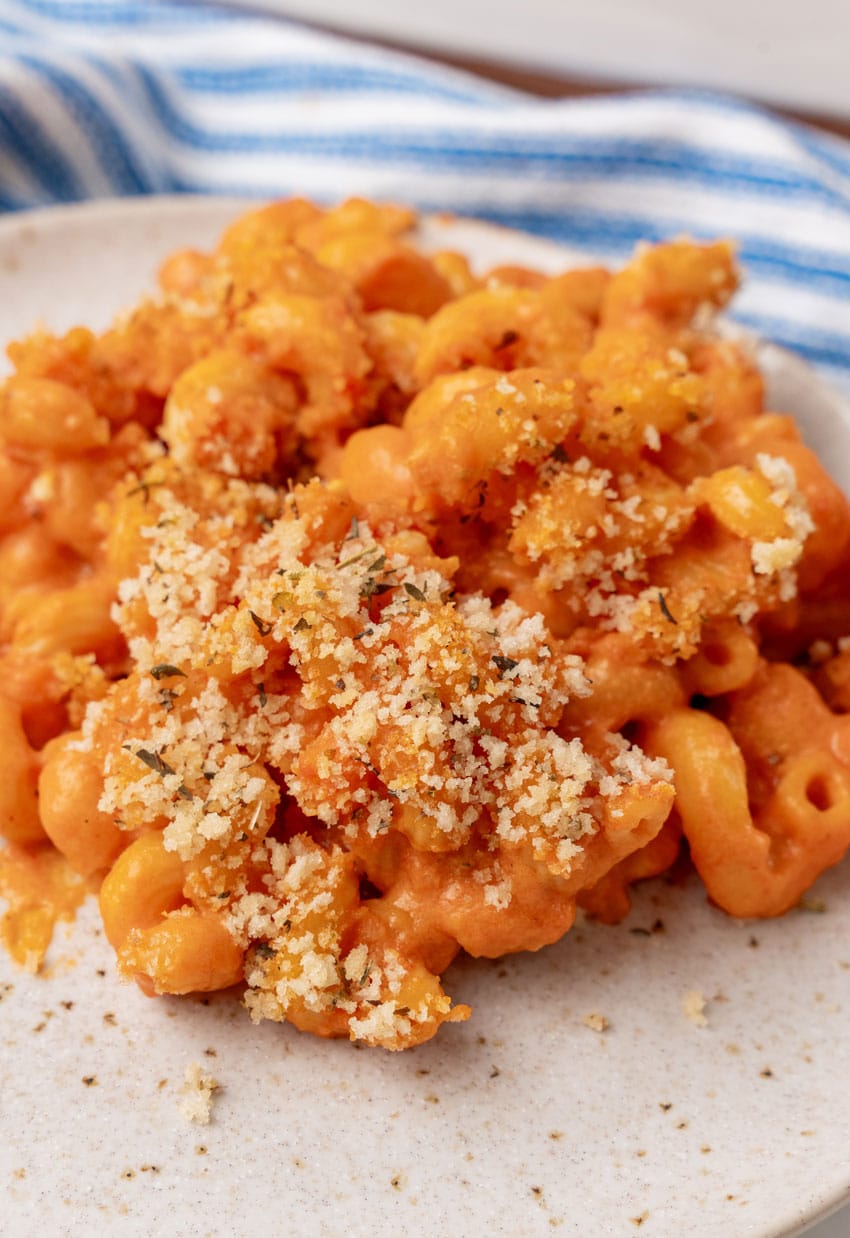 creamy tomato soup macaroni and cheese on a white plate