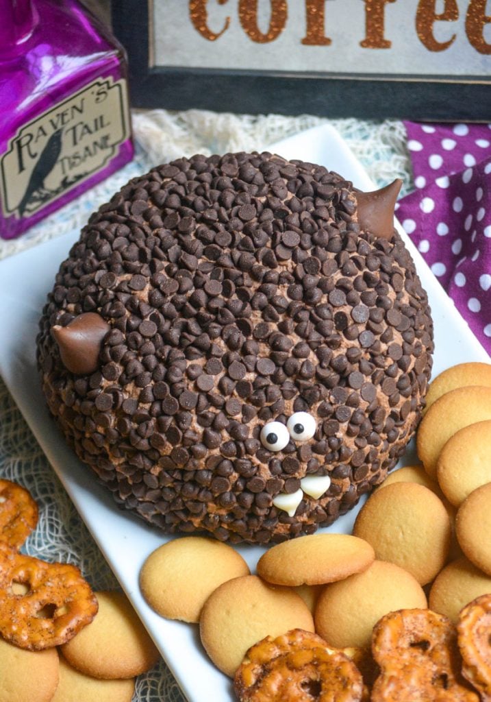 a triple chocolate dessert cheese ball covered in mini chocolate chips and made to look like a bat served on a white platter with pretzel chips and cookies for dipping
