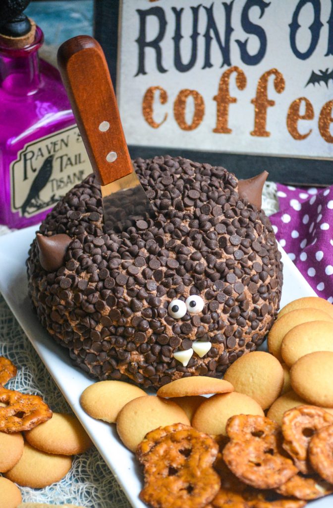 a triple chocolate dessert cheese ball covered in mini chocolate chips and made to look like a bat with a wooden handled spread stuck in the middle