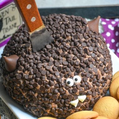 a triple chocolate dessert cheese ball covered in mini chocolate chips and made to look like a bat with a wooden handled spread stuck in the middle