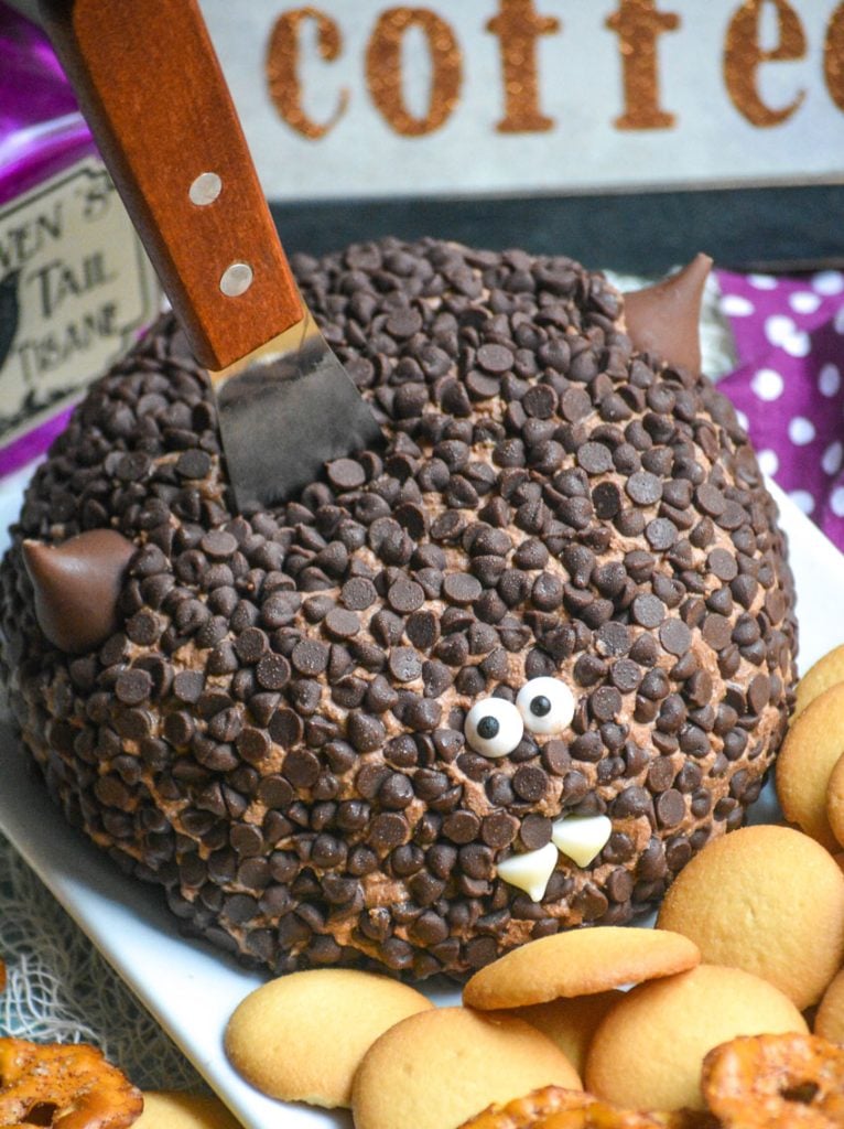 a triple chocolate dessert cheese ball covered in mini chocolate chips and made to look like a bat with a wooden handled spread stuck in the middle