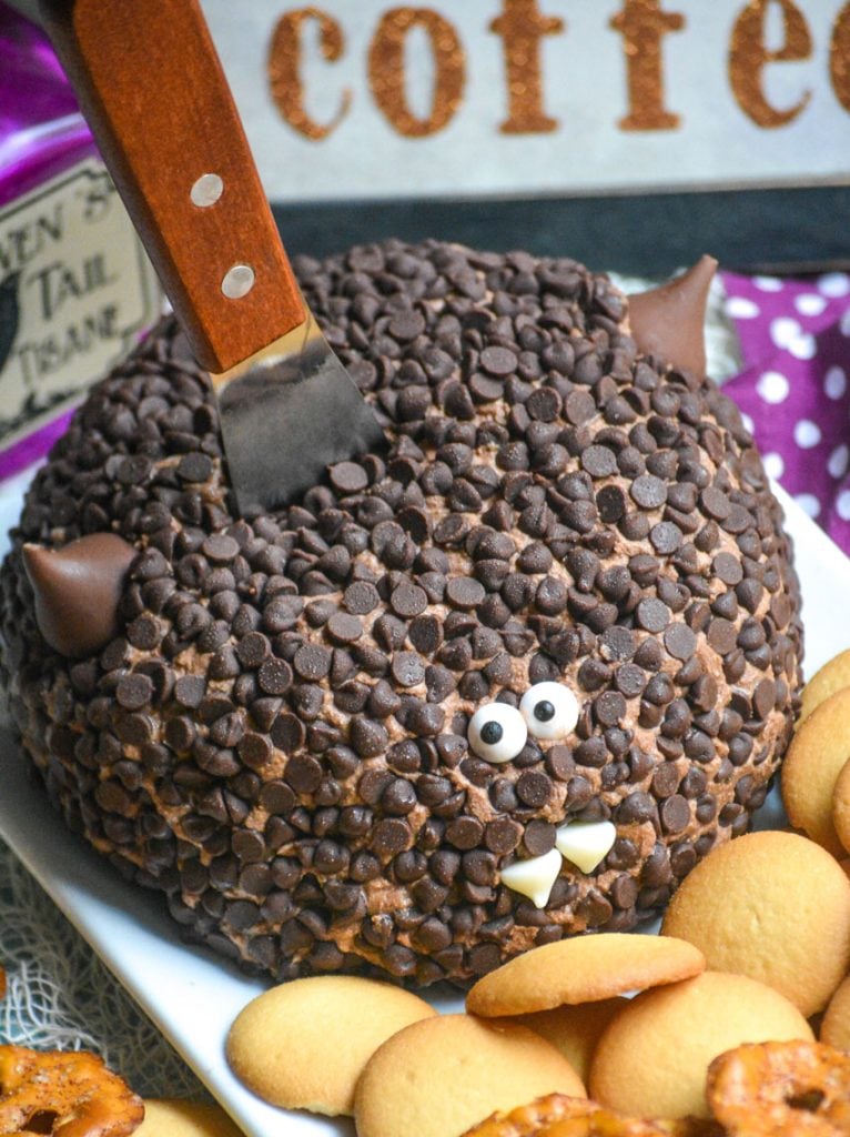 Batty For Chocolate Dessert Cheese Ball #HalloweenTreatsWeek