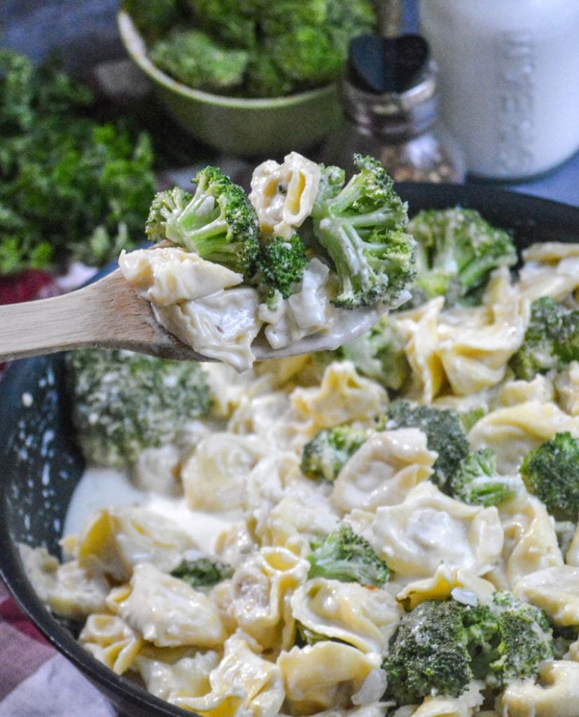 a wooden spoon holding aloft a scoop of alfredo tortellini with broccoli
