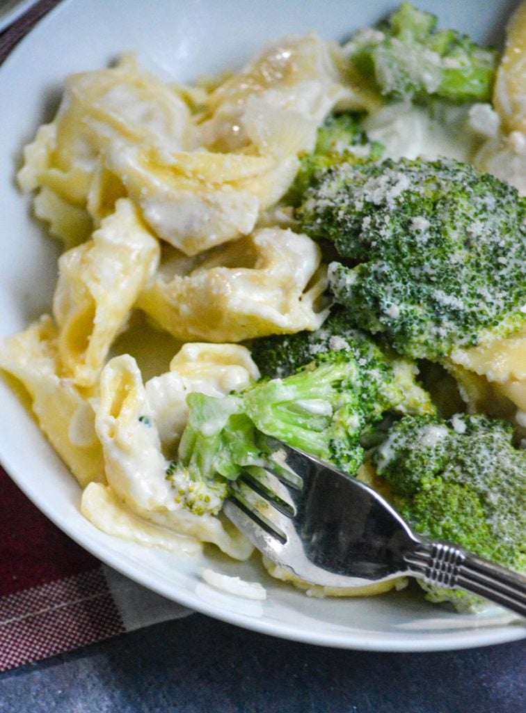 a silver fork digging into creamy alfredo tortellini with broccoli on a white plate
