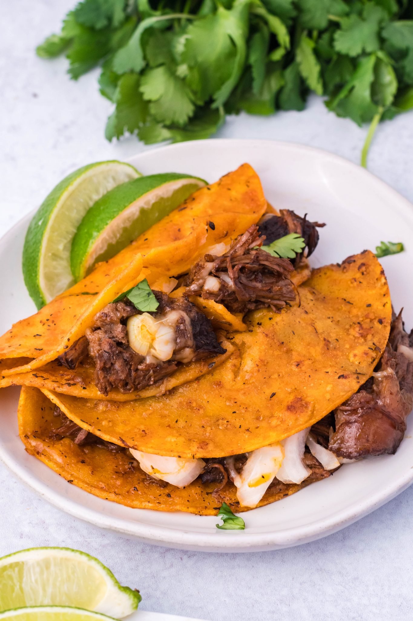 birria-tacos-4-sons-r-us