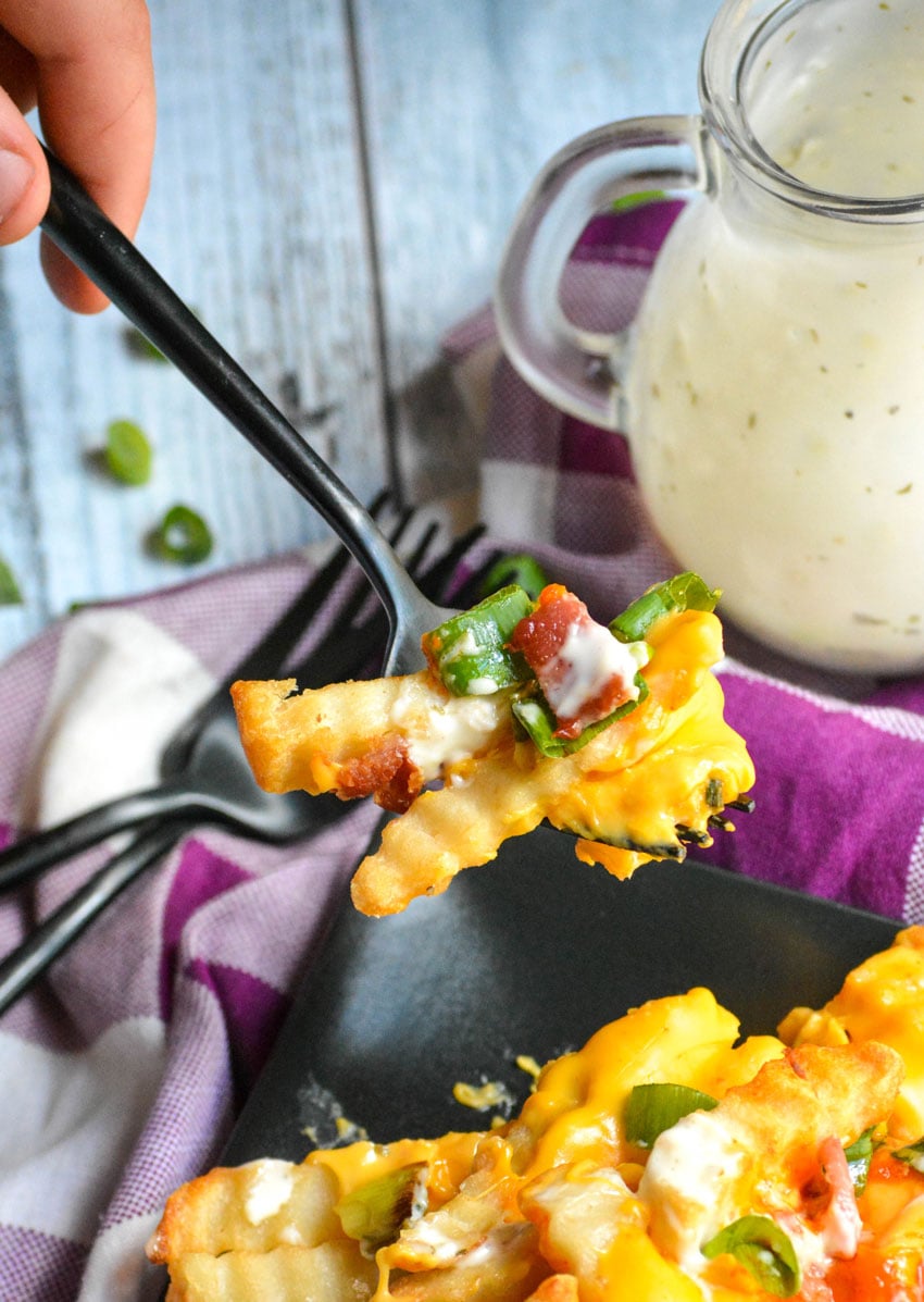 LoadedBuffaloCheeseFries17 4 Sons 'R' Us