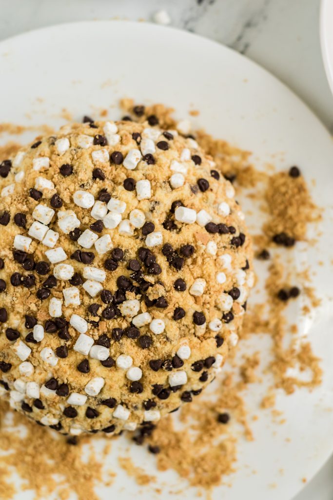 a freshly made s'mores cheese ball surrounded by graham cracker crumbs on a white plate