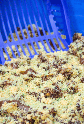 kitty litter cake in a blue litter tray with a blue scooper in the background