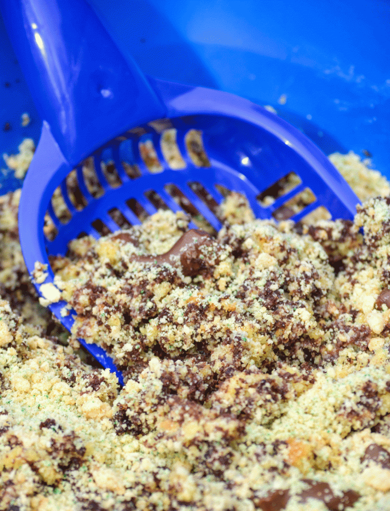 a blue scooper digging into kitty litter cake