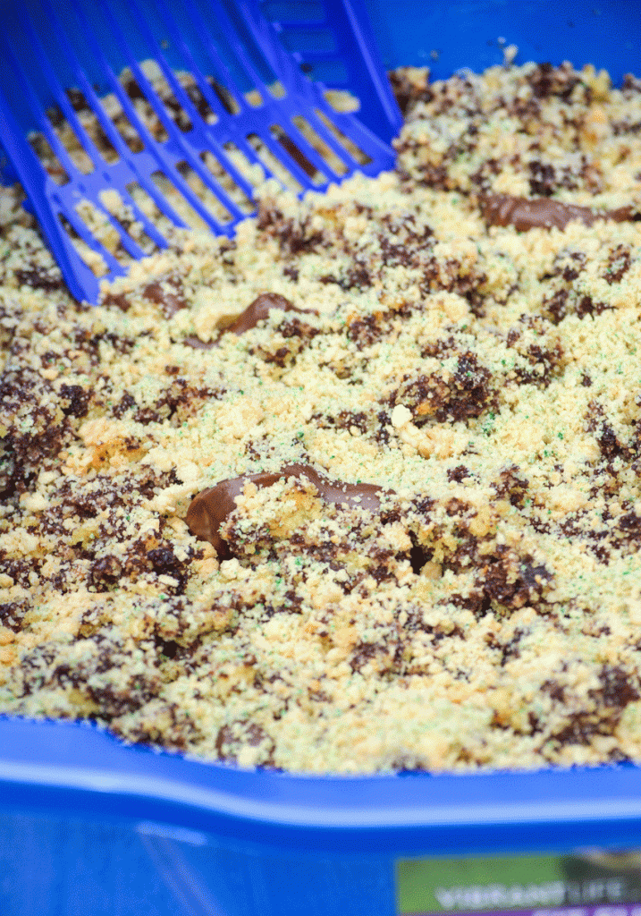 kitty litter cake in a blue litter tray with a blue scooper in the background