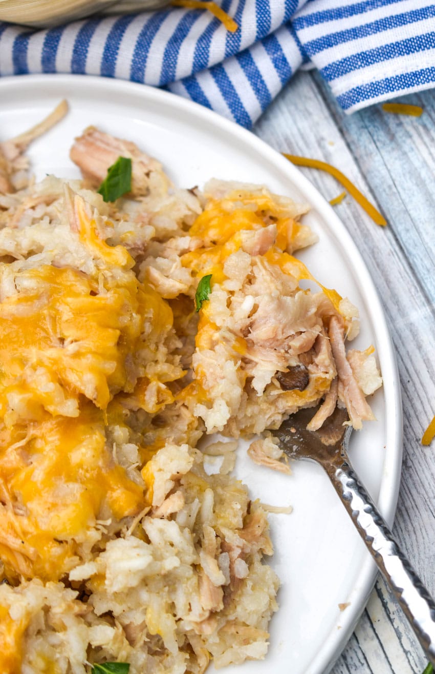 slow cooker pork and rice on a white dinner plate