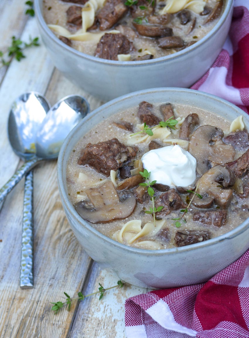 Beef Stroganoff Soup - 4 Sons 'R' Us