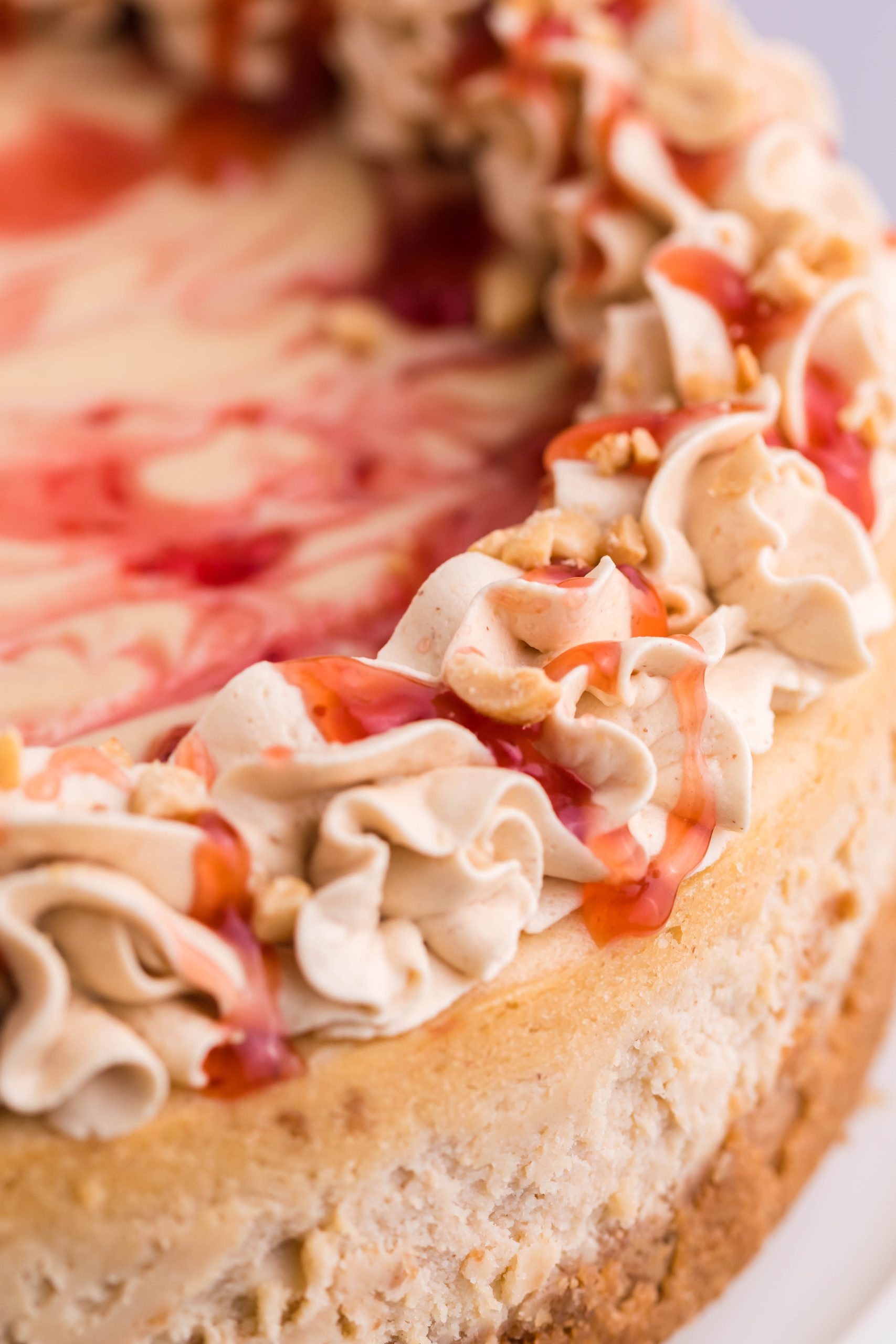 a close up shot of peanut butter & jelly cheesecake focusing on the peanut butter whipped cream piping and jelly drizzle