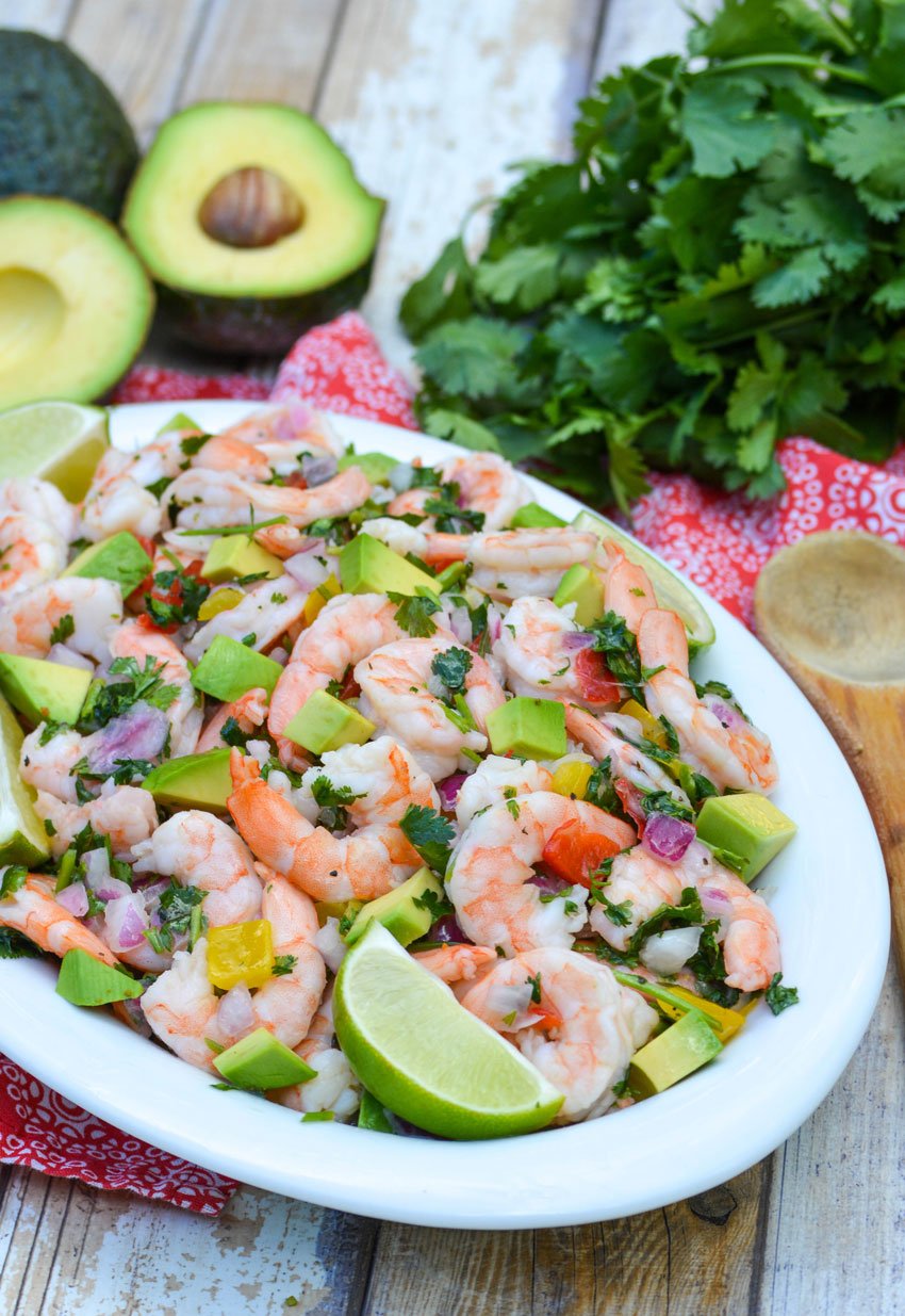 shrimp ceviche in a shallow white bowl surrounded by leafy green cilantro and ripe avocados