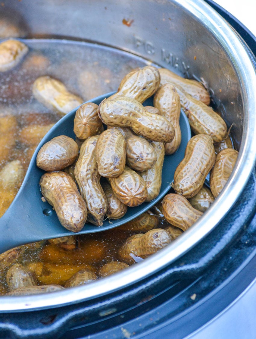 a gray serving spoon holding up boiled peanuts above an instant pot pressure cooker