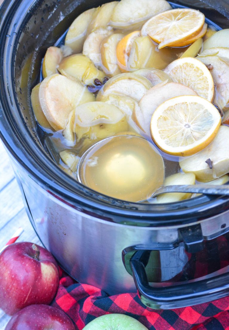 Slow Cooker Apple Cider 4 Sons 'R' Us