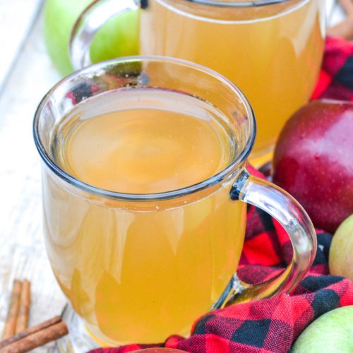 Slow Cooker Apple Cider 4 Sons 'R' Us