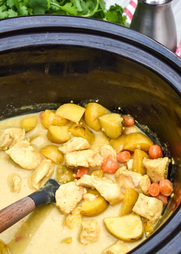 Slow Cooker Chicken Curry 4 Sons 'R' Us