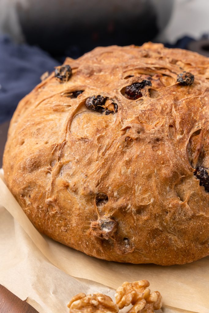 a baked loaf of cranberry walnut bread on parchment paper