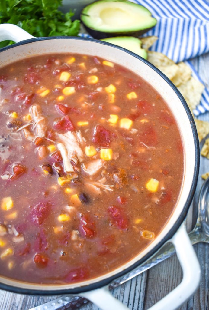 10 Can Chicken Taco Soup - 4 Sons 'R' Us