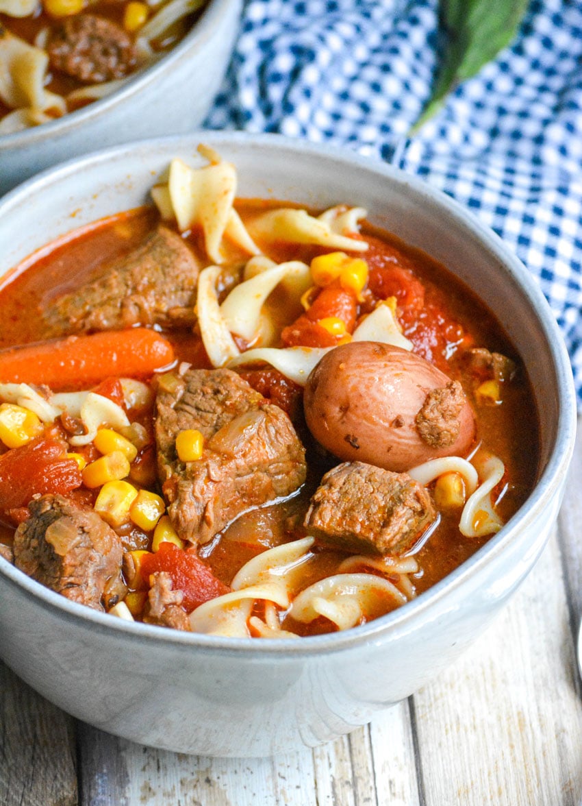 a small gray bowl filled with beef stew with noodles