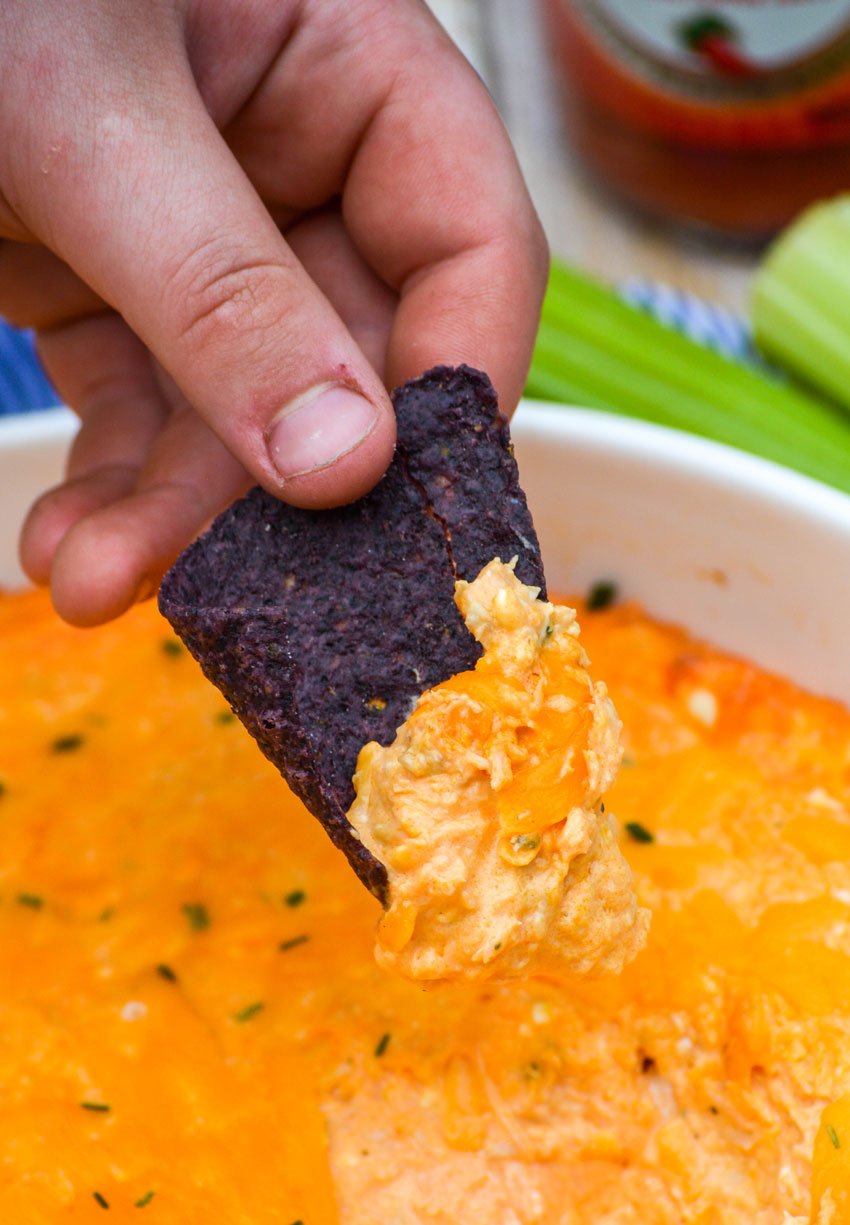 a hand holding up a blue corn tortilla chip covered in the best buffalo chicken dip