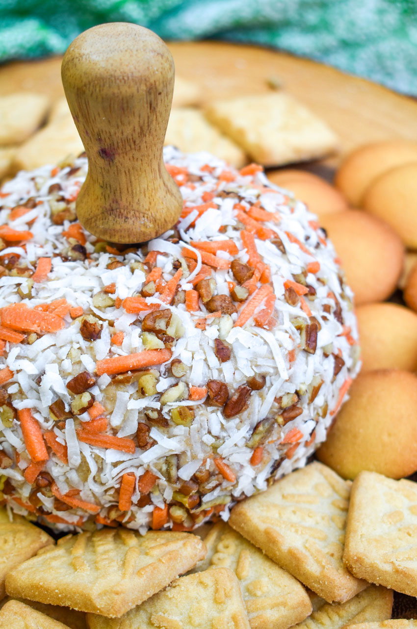 carrot cake cheese ball recipe with a wooden handled spreader stuck in the top center