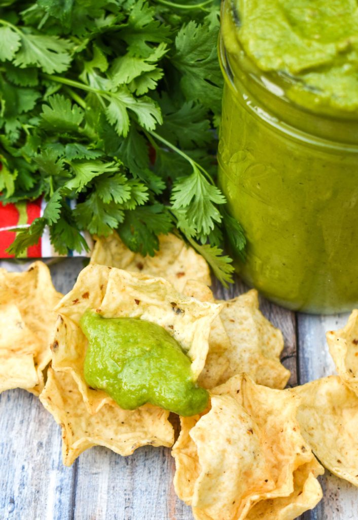 Guacamole Salsa (Herdez Copycat) - 4 Sons 'R' Us