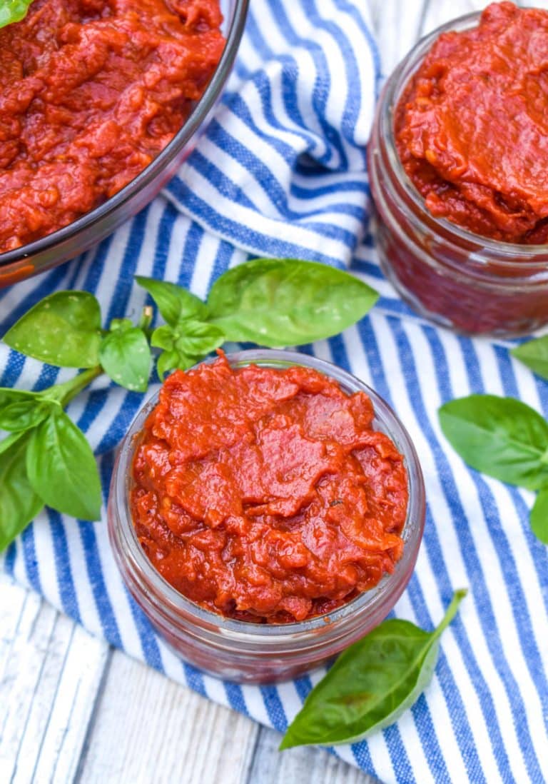 Easy Homemade Tomato Paste - 4 Sons 'R' Us