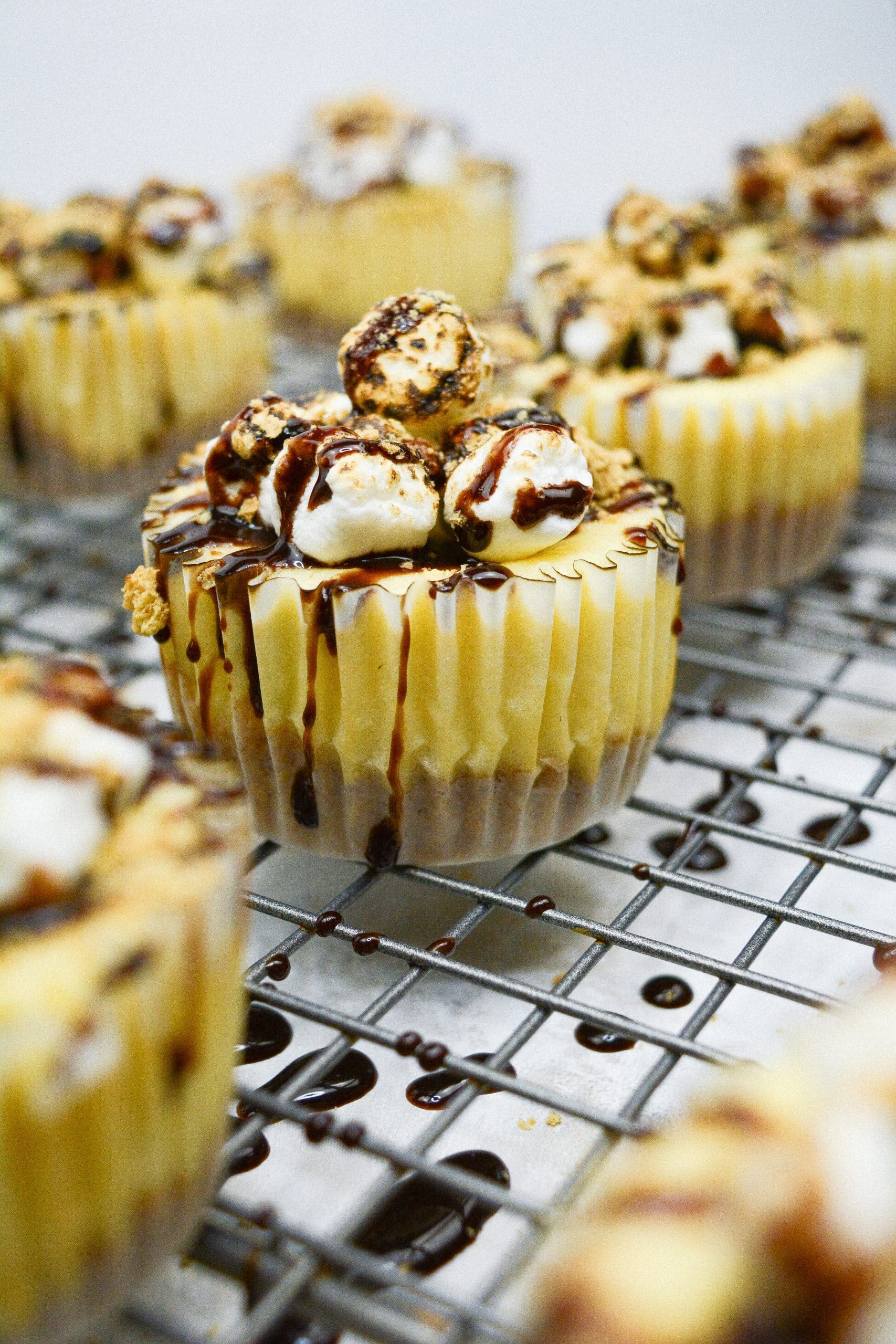mini s'mores cheesecakes drizzled with chocolate sauce on a wire cooling rack