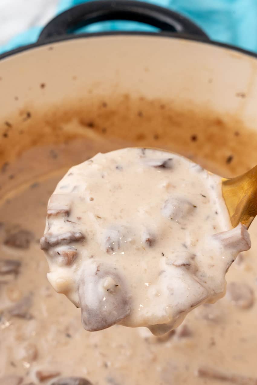 a ladle holding up a scoop of homemade cream of mushroom soup