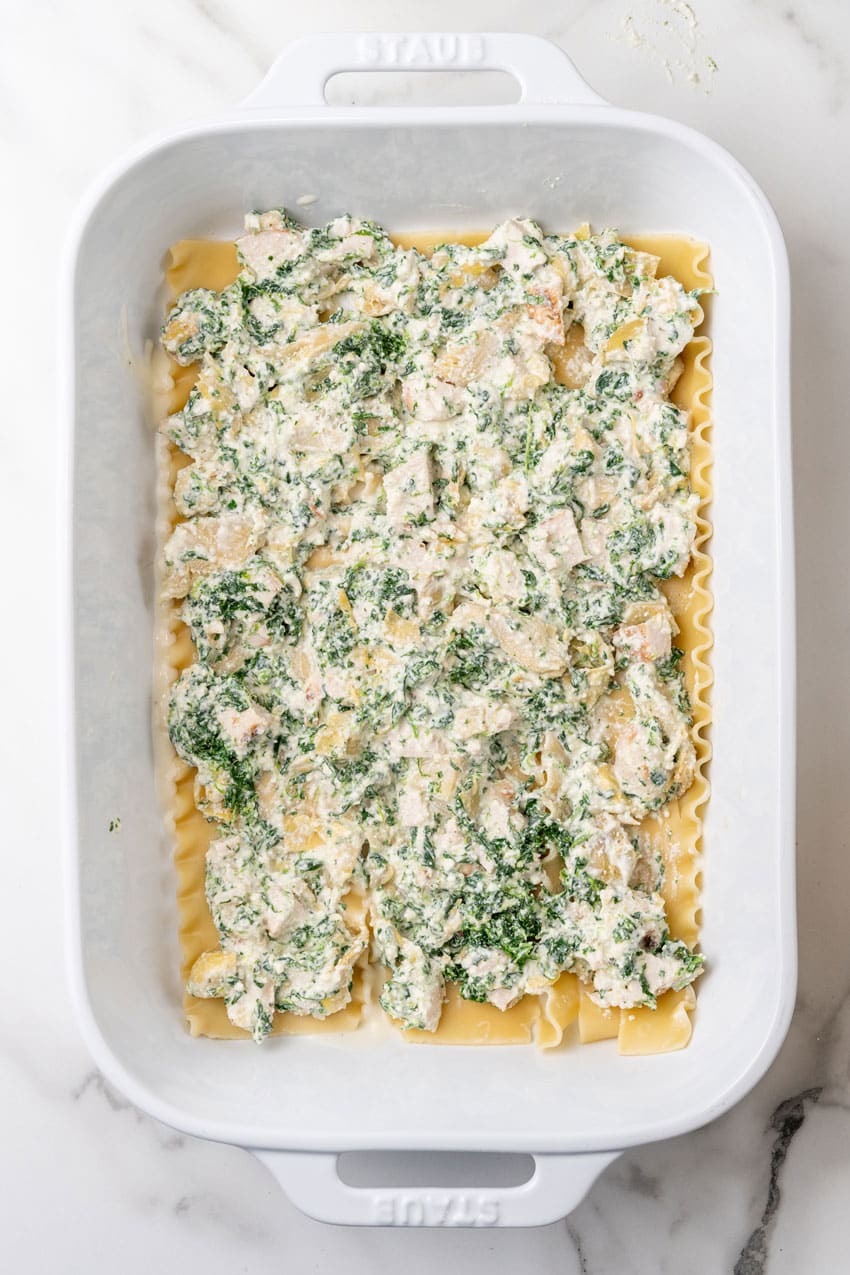 spinach artichoke ricotta cheese mixture spread evenly over boiled lasagna noodles in a white baking dish