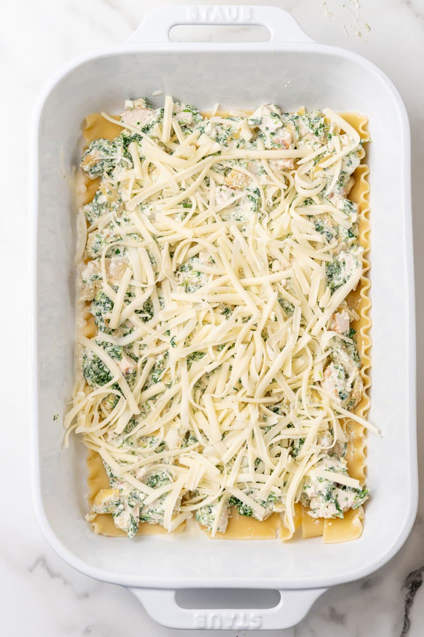 spinach artichoke ricotta cheese mixture spread evenly over boiled lasagna noodles in a white baking dish