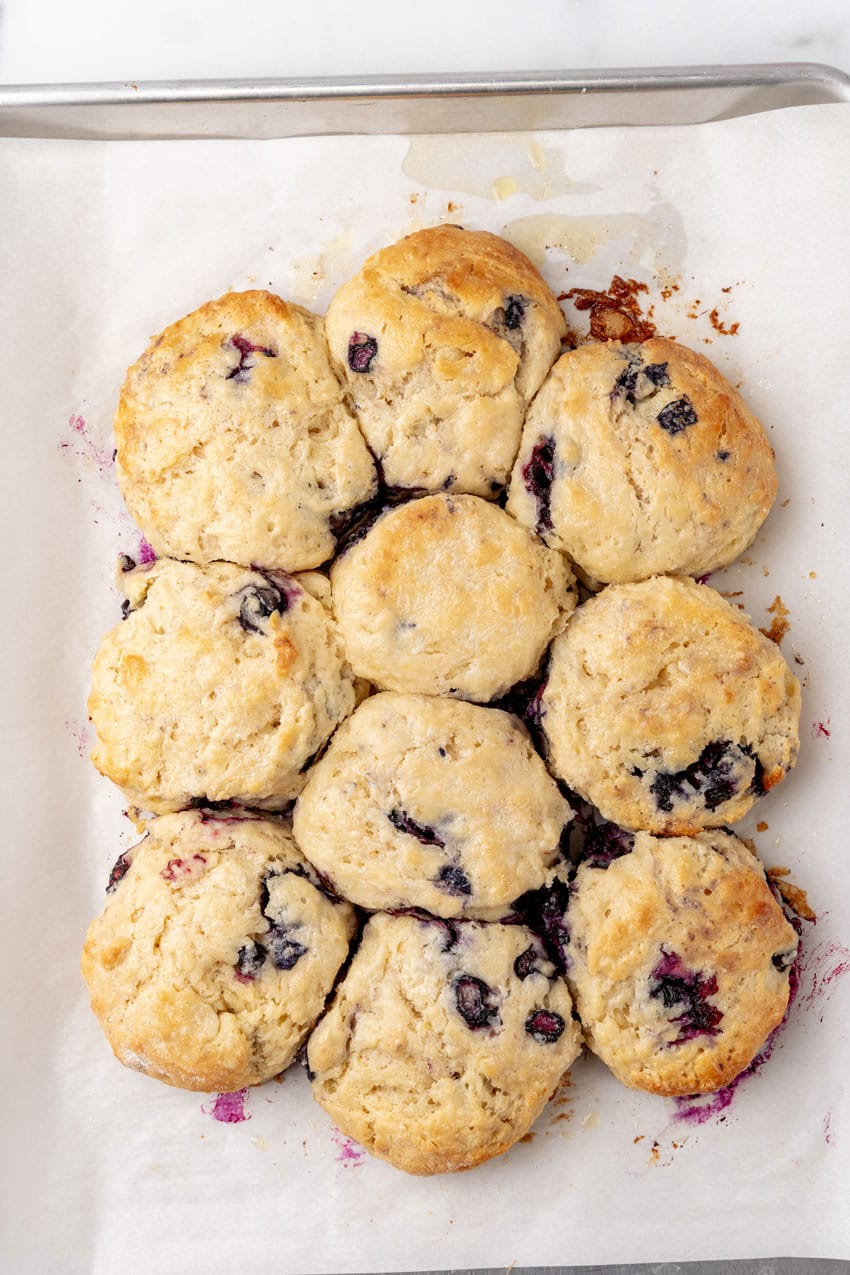 baked southern blueberry muffins on a parchment paper lined baking sheet