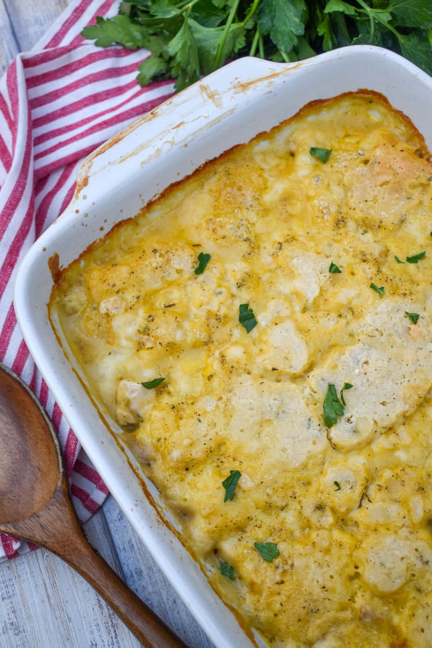 chicken and dumpling casserole in a white baking dish