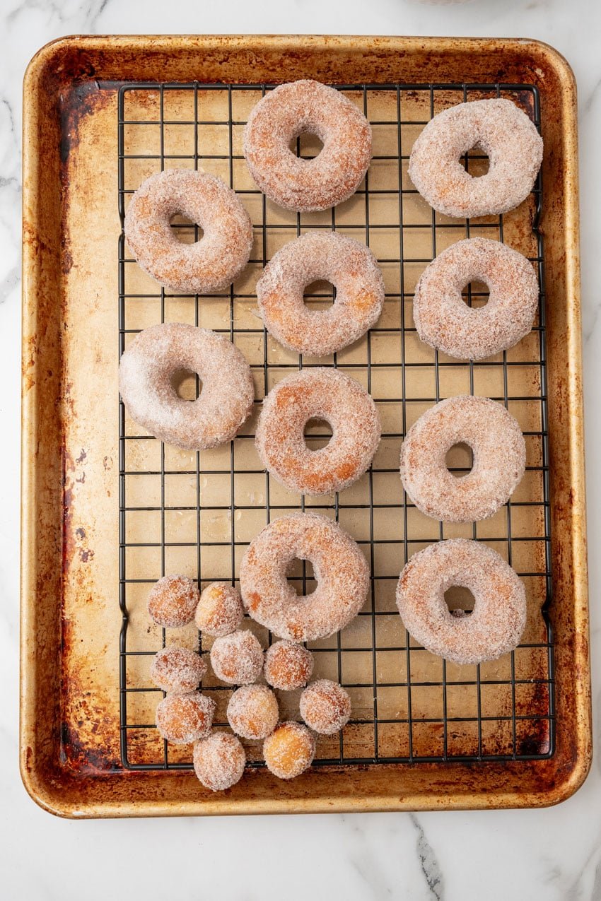 cinnamon sugared donuts on a wire rack