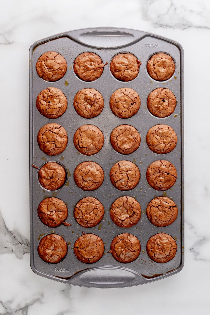 mini chocolate cupcakes in a mini muffin tin pan