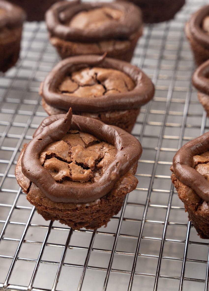frosted mini chocolate cupcakes on a wire rack