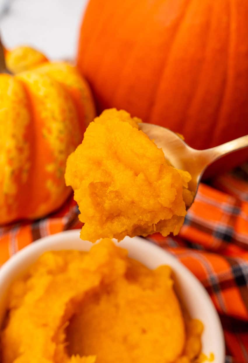 a gold spoon holding up a scoop of homemade pumpkin puree