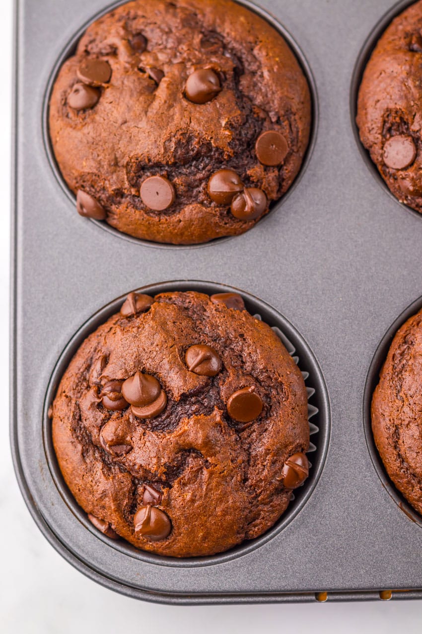 homemade double chocolate chunk muffins in a metal muffin pan